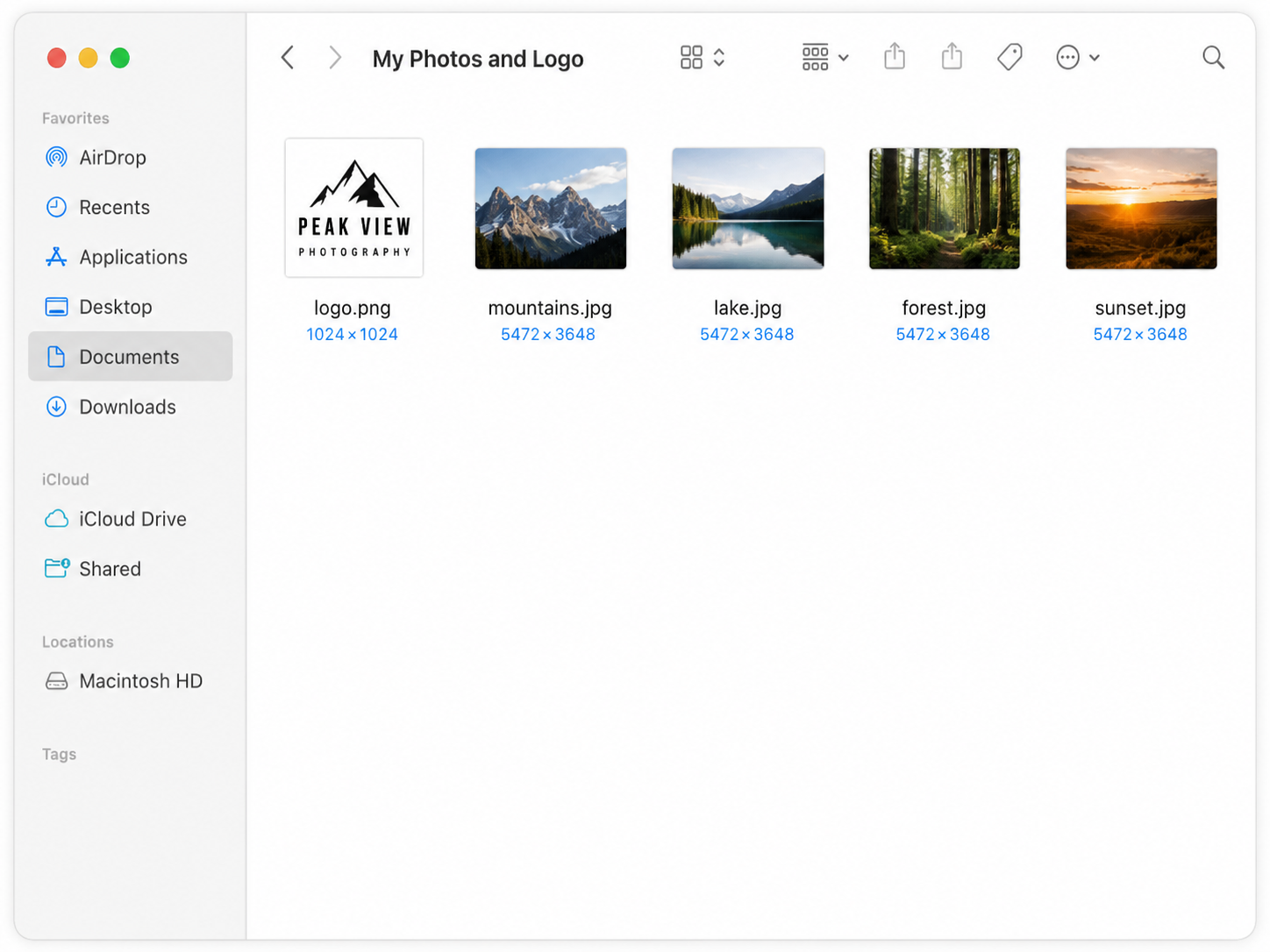 My Website / My Photos and Logo folder with logo and photo files